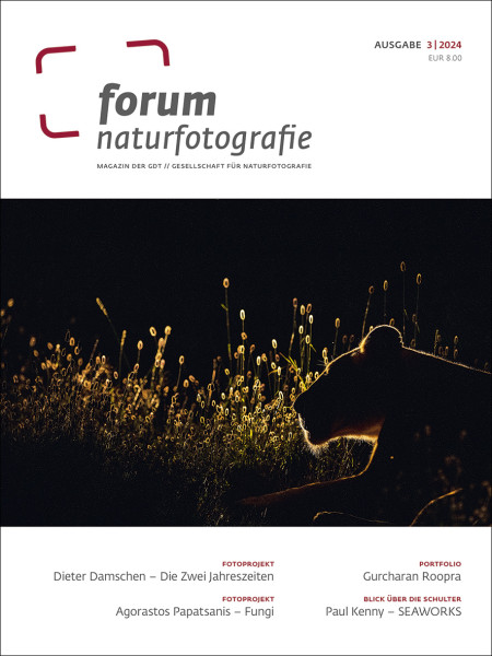 forum naturfotografie 3/2024