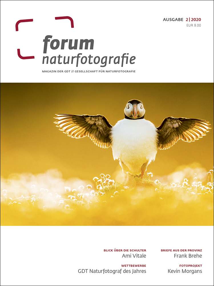 www naturfotografen forum de