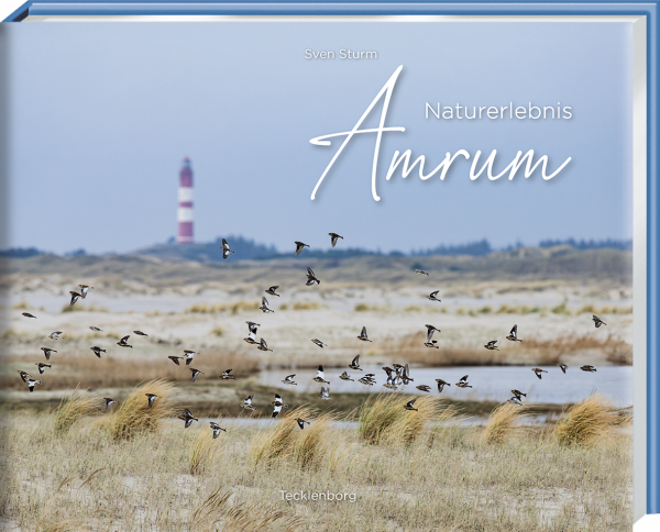 Naturerlebnis Amrum