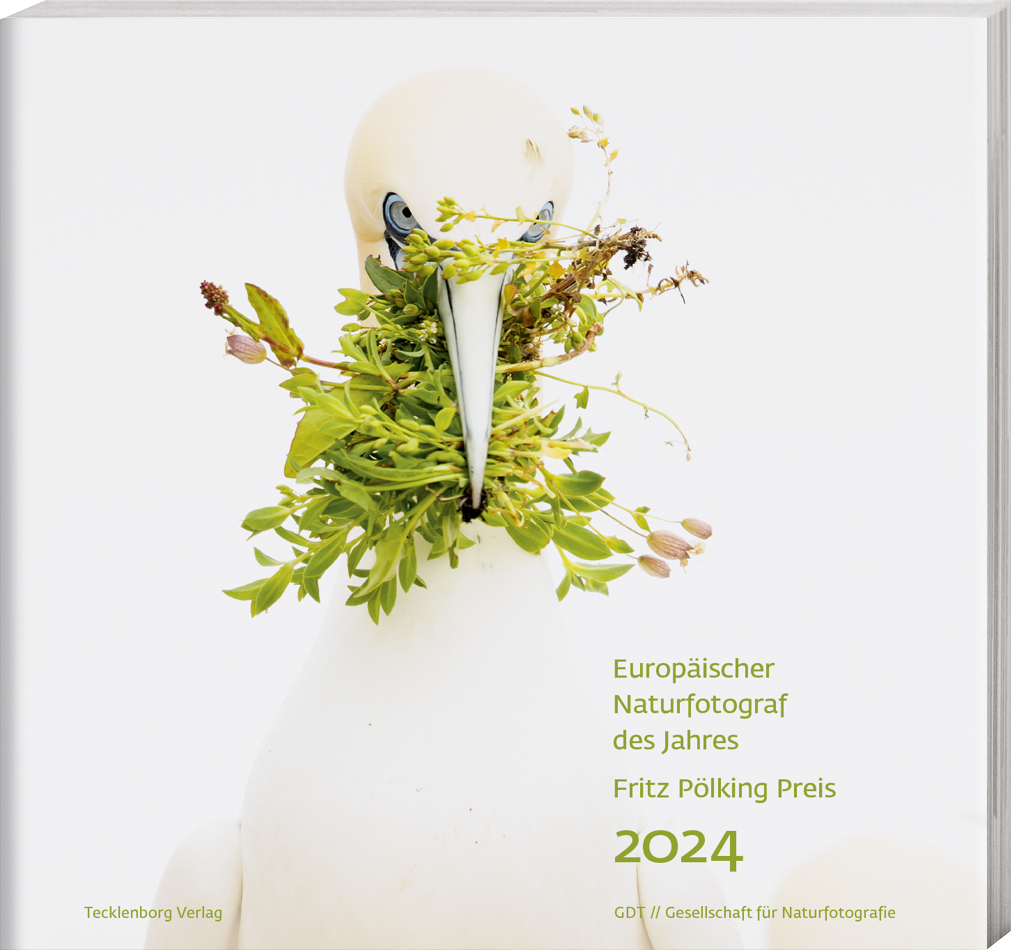 Europäischer Naturfotograf Des Jahres 2024 | Europ. Naturfotograf Des ...